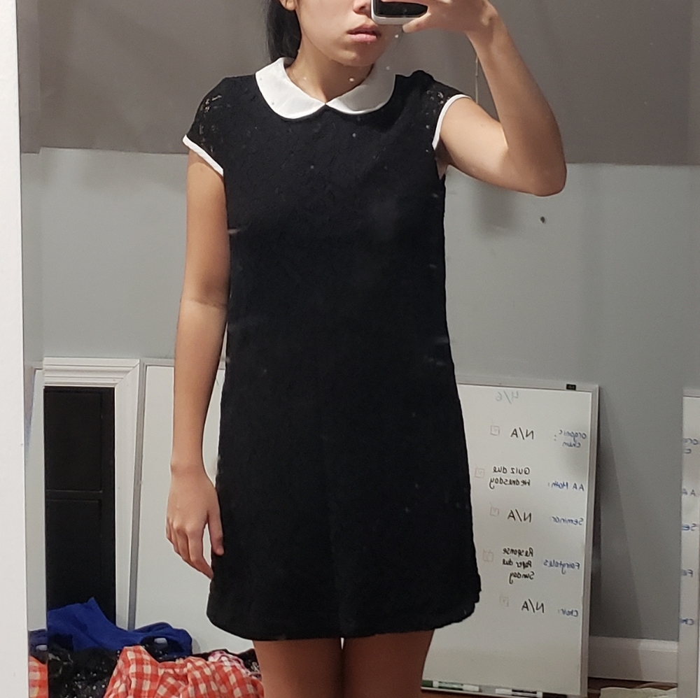 Peter Pan Style Collared Black Lace Mini Dress